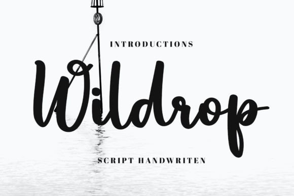 Elevate Your Brand Identity with the Wildrop Typeface