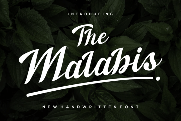 The Malabis: A Script Font That Elevates Your Campaigns